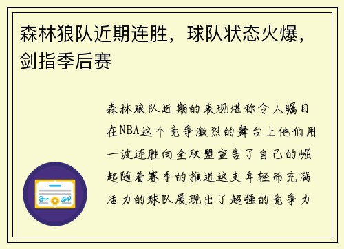 森林狼队近期连胜，球队状态火爆，剑指季后赛